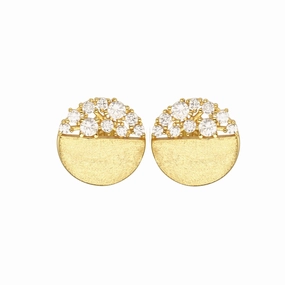 Sterling Silver Brushed Gold Plated Half CZ Stud Earrings Trendy Decor