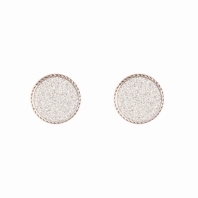 Silver Glitter Inlay Disc Earrings Glittery Accent High-Quality Element