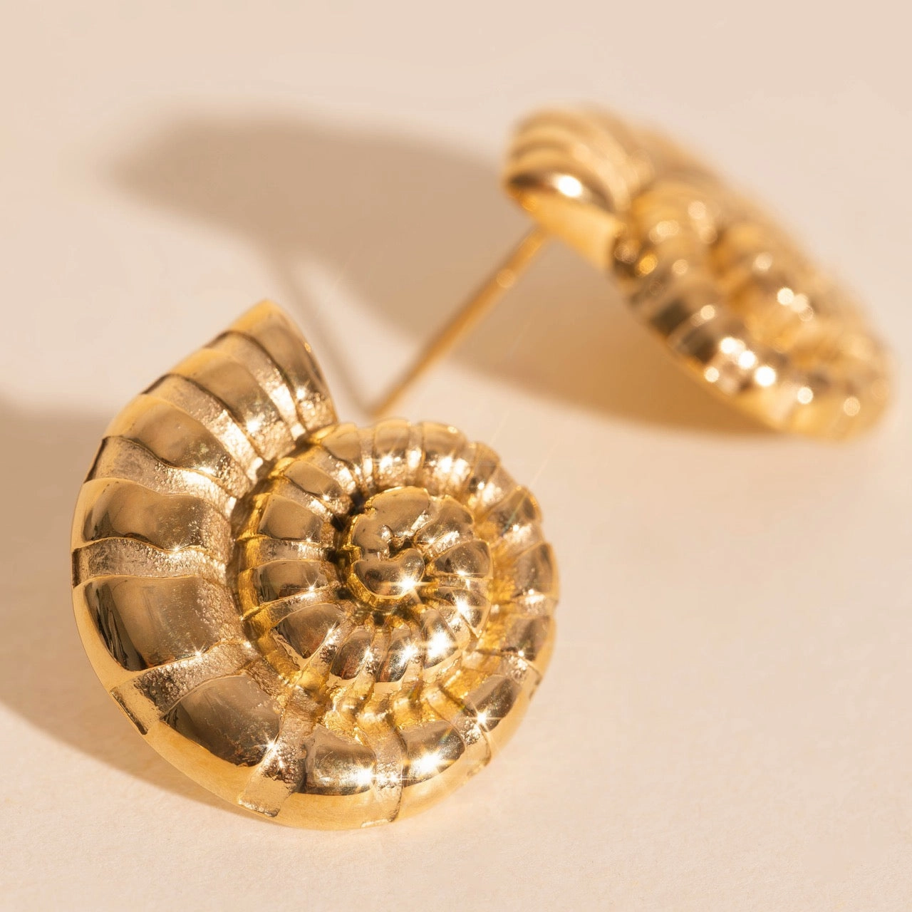 Shell Swirl Stud Earrings Anniversary Surprise Everyday Style