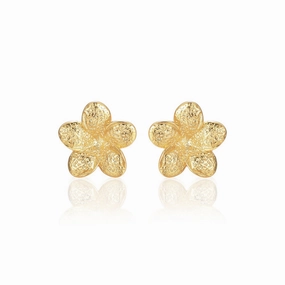 Gold Plated Surgical Steel 5 Petal Flower Stud Earrings Bohemian Embellishment Refined Accessory
