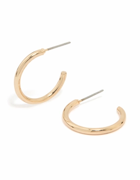 Linear Item Gold Small Plain Hoop Earrings