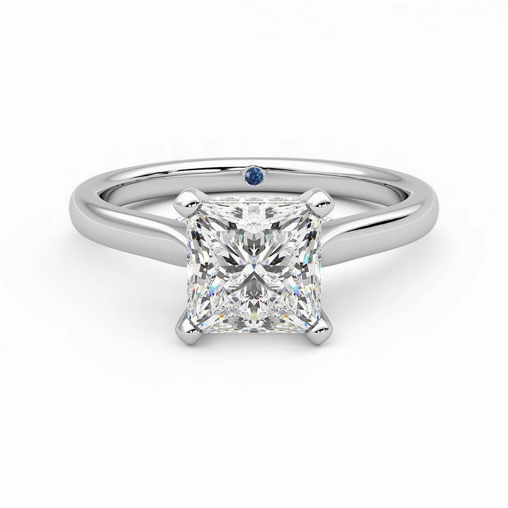 Princess Cut Moissanite Engagement Ring with Hidden Anniversary Stone and Secret Accents Fantastic Symbol Soft Finish Look