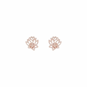 Rose Gold Open Lotus Earrings Delicate Ornament Comfortable Element