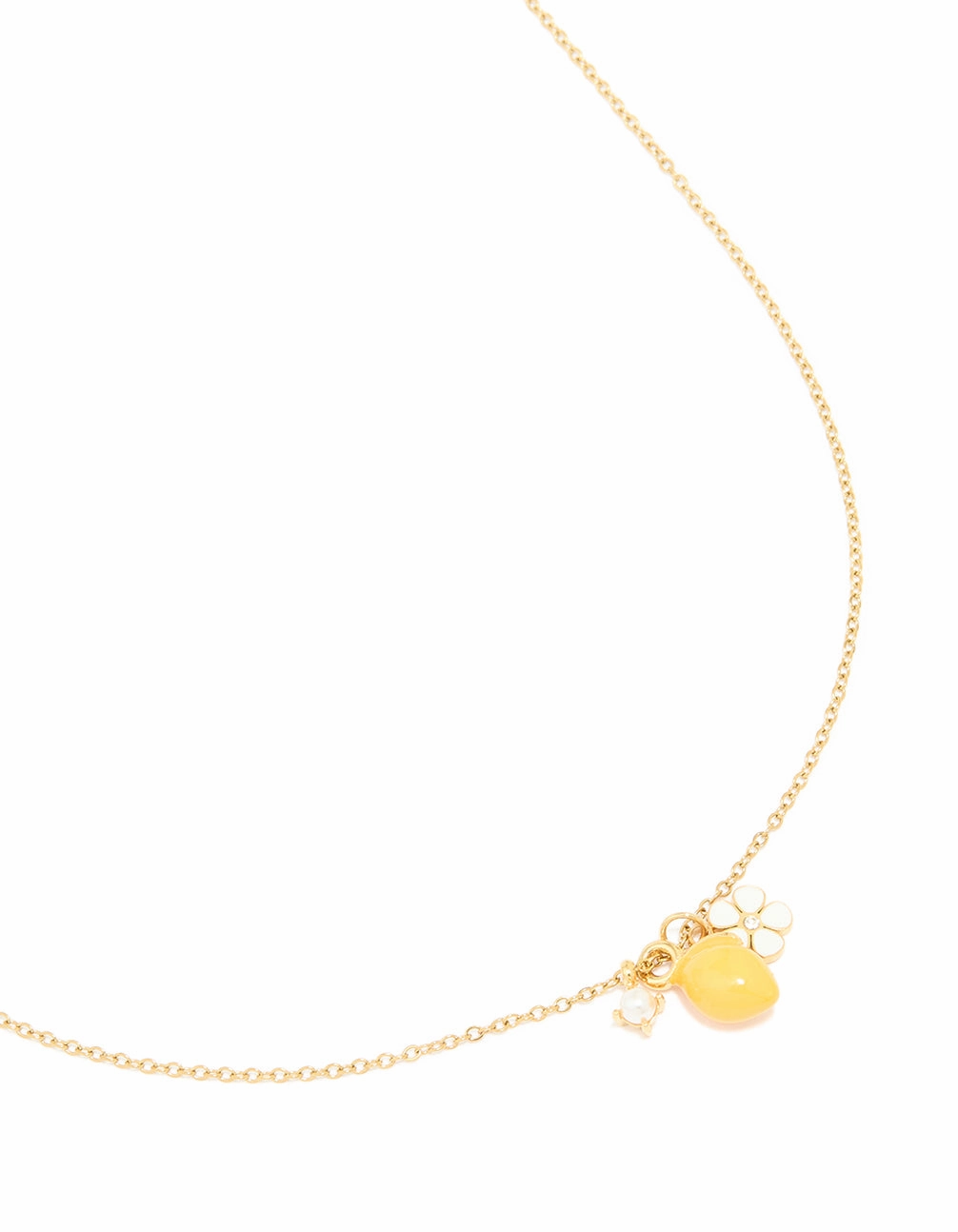 Exquisite Style Stunning Gift Waterproof Gold Plated Stainless Steel Lemon & Flower Cluster Necklace
