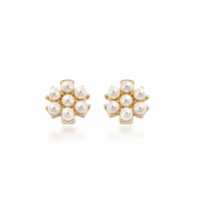 Surgical Steel Gold Plated Pearl Cluster Stud Earring Pretty Design Adorable Adornment