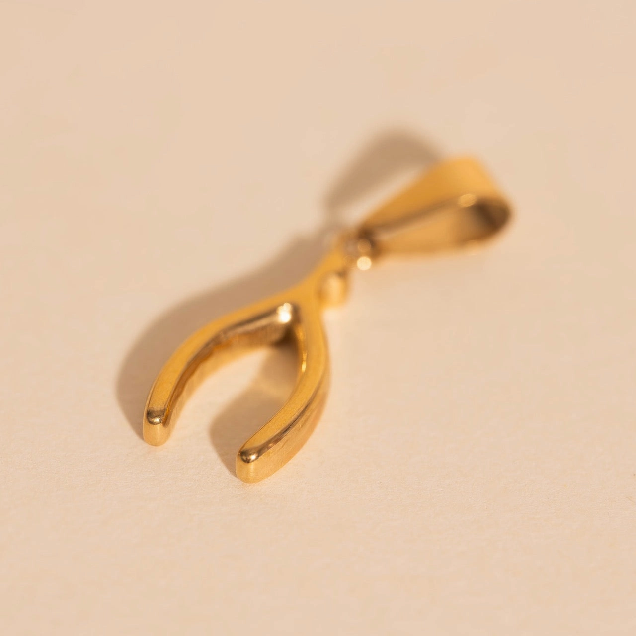 Wishbone Necklace Charm Vivid Radiance